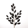 25" BLACK ELIAGNUS SPRAY