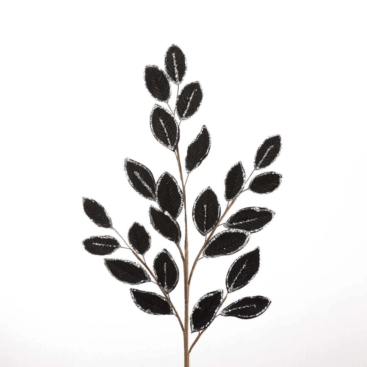 25" BLACK ELIAGNUS SPRAY