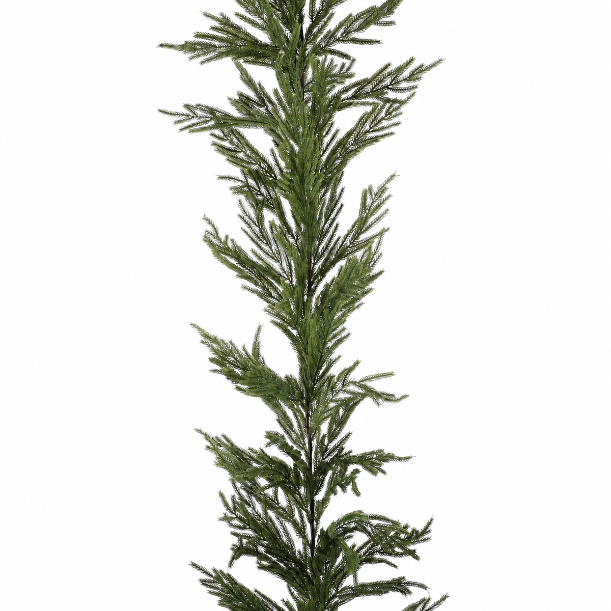 6FT REAL TOUCH NORFOLK PINE GARLAND WITH MIXED CYPRESS