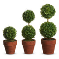 5.5" Potted Mini Boxwood Topiaries (SMALL ONLY)