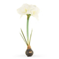 19" Real Touch White Amaryllis Bulb