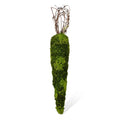 L4.8''W4.8H28.4'' MOSS CARROT