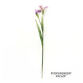 29" Dutch Iris Lavender Stem