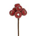 10" Beaded Pod Cluster Pick, Red