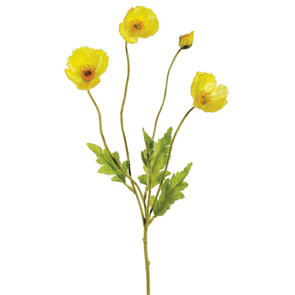 23.6"POPPY SPRAY YE