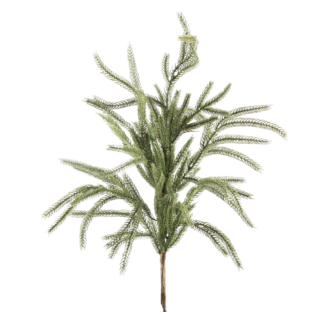 27" Real Touch Norfolk Pine Spray